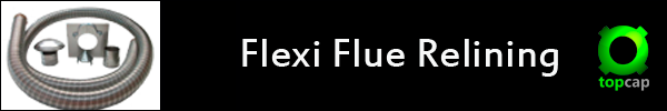 flexi flue relining image